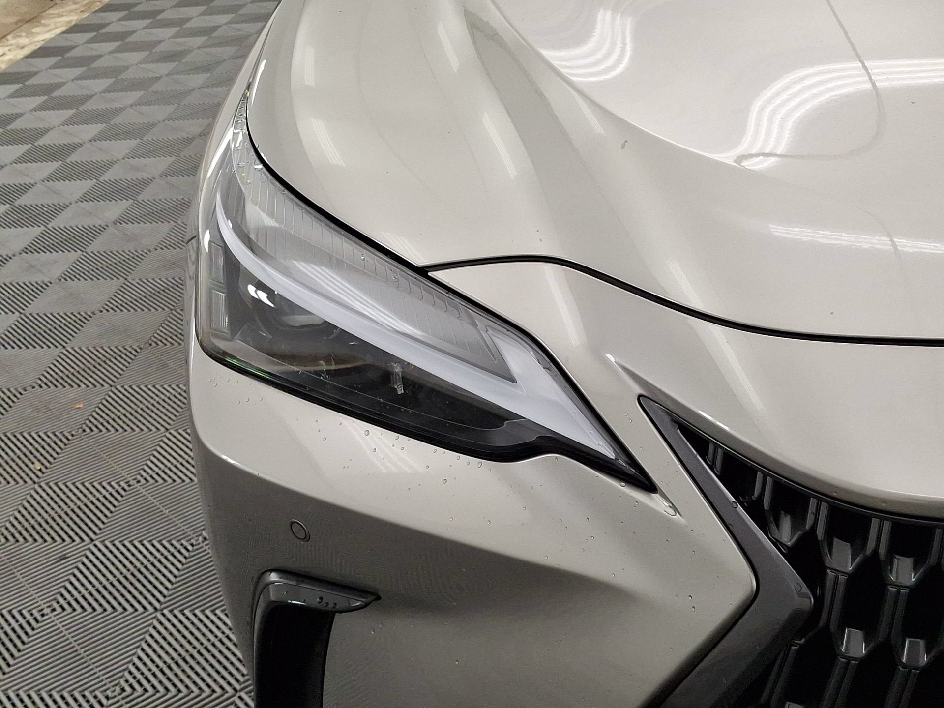 2024 Lexus NX 350h NX 350h Premium