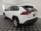 2019 Toyota RAV4 Hybrid XLE