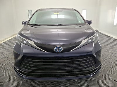 2025 Toyota Sienna XLE