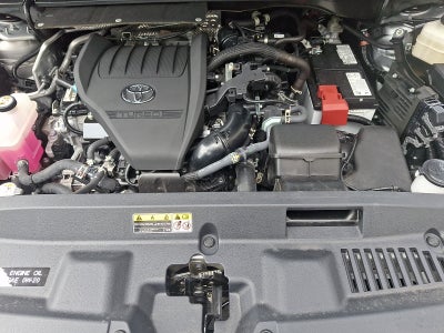 2025 Toyota Highlander XLE