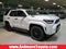 2026 Toyota 4Runner i-FORCE MAX 4Runner Platinum