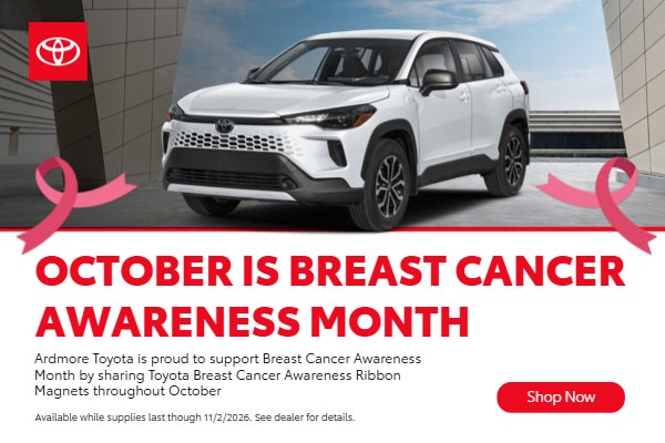 October is Breast Cancer Awareness Month